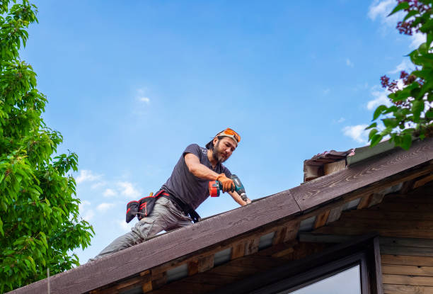 Best Cold Roofs  in White Rock, NM
